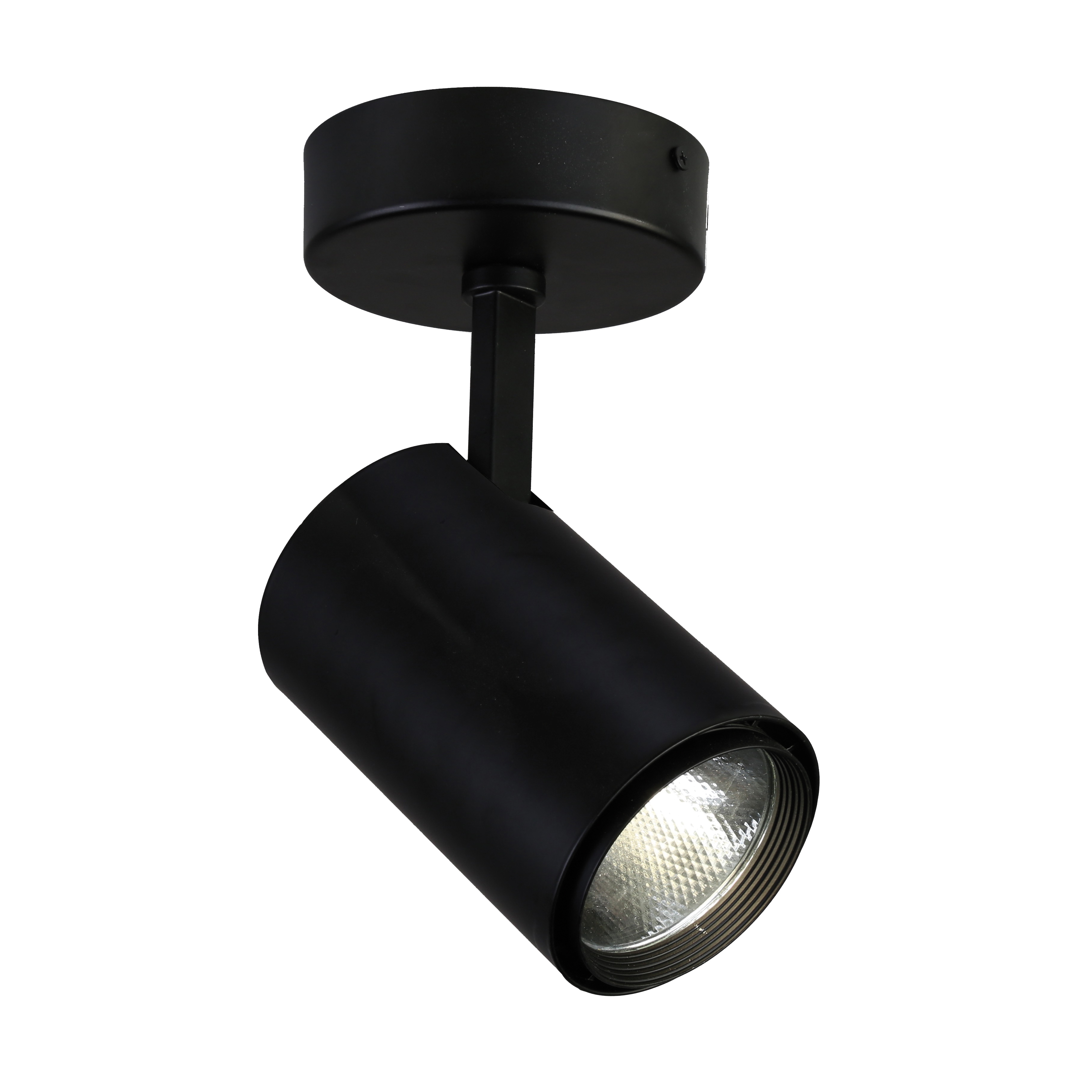 Спот Favourite Projector 1772-1U
