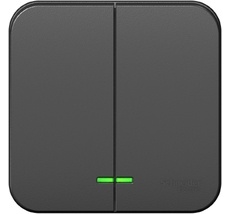 Выключатель накладной двухклавишный с подсветкой (антрацит) Systeme Electric BLNVA105116