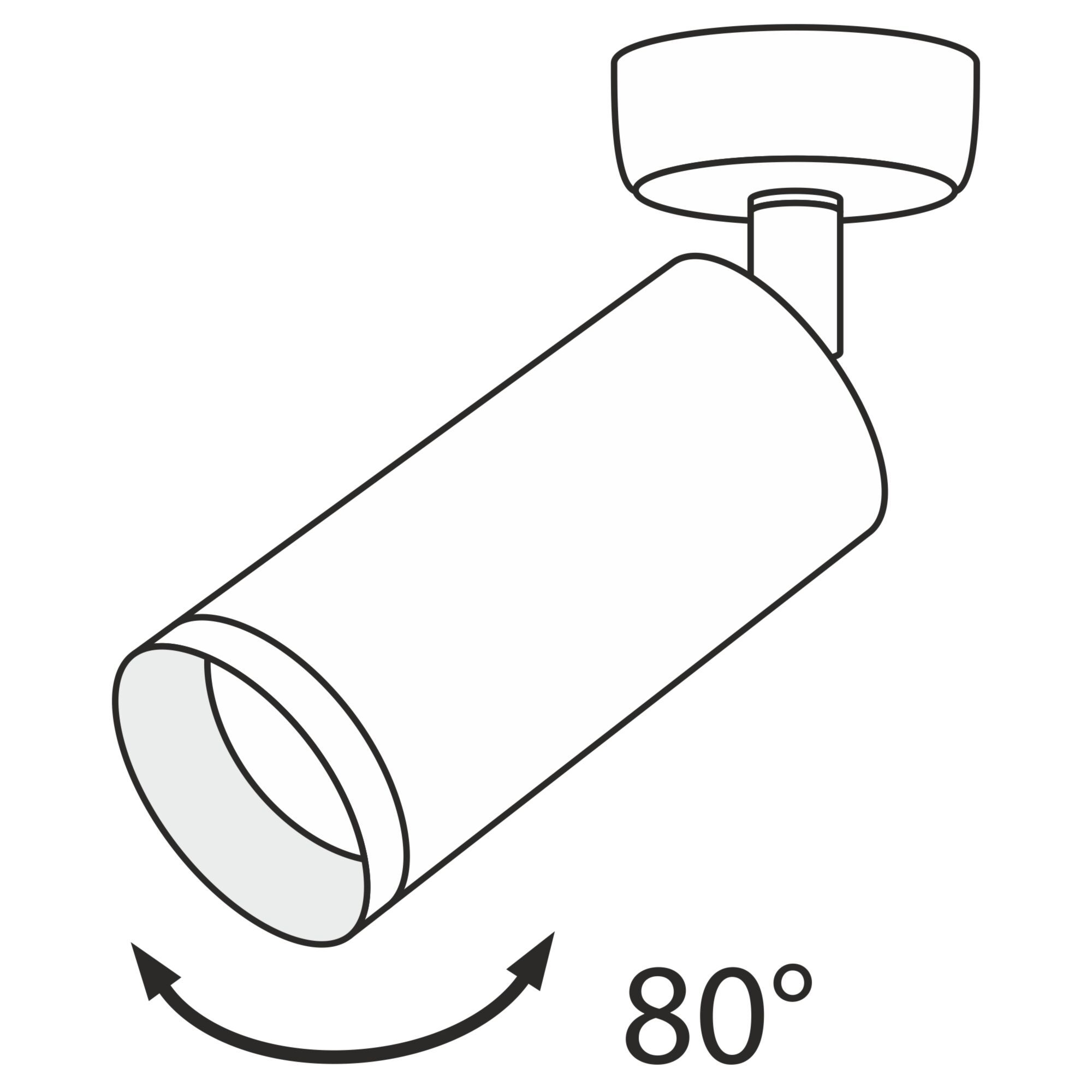Спот Maytoni Focus C017CW-01MG_MY